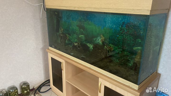 Аквариум с тумбой 300 литров