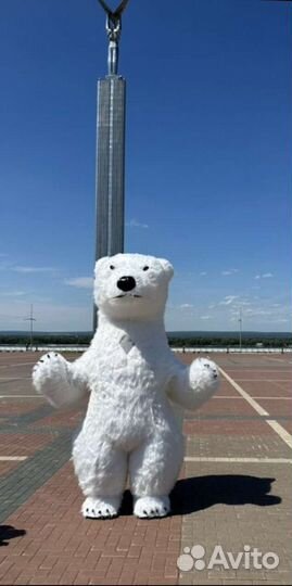 Белый мишка поздравление