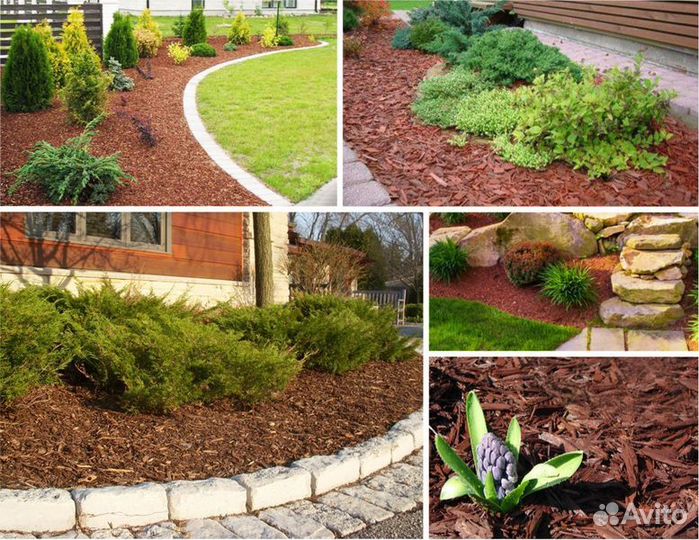 Кора сибирской лиственницы оптом