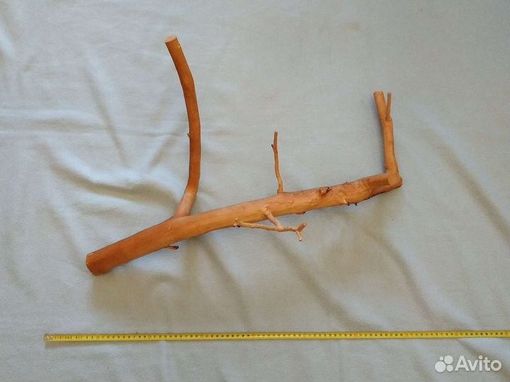 Коряги для террариума (ветки яблони)