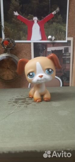 Littlest Pet Shop