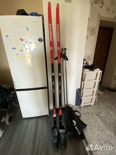 Беговые лыжи