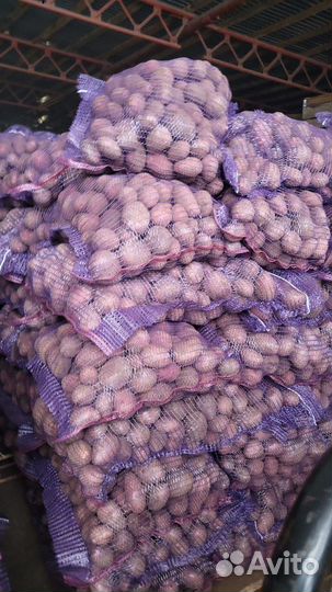 Продам картофель оптом
