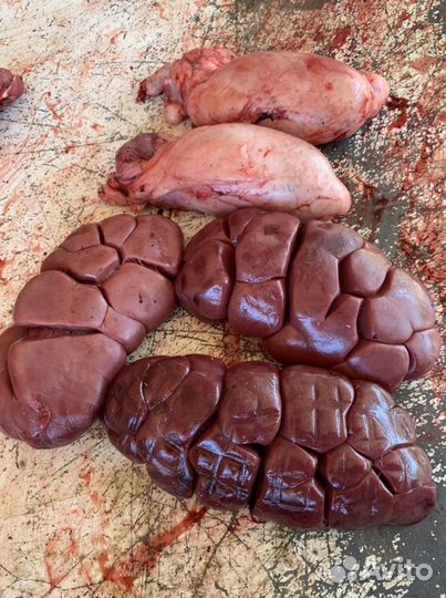 Корма для животных