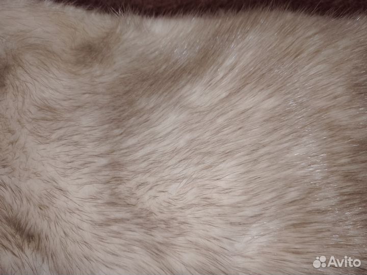 Шкурка животного