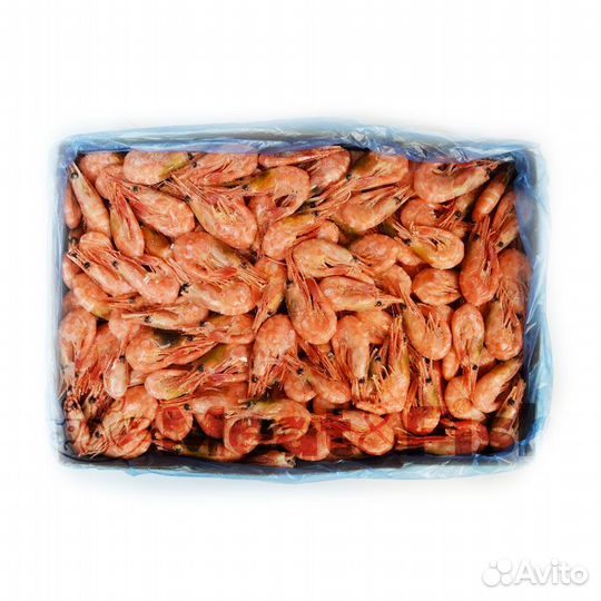 Креветка северная (90-120 шт/кг) Без льда