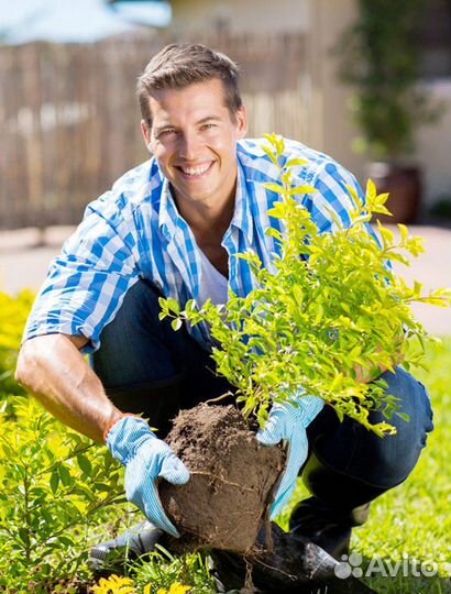 Садовник в частное владение с проживанием