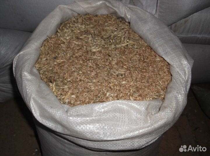 Пшеница, мешок 40 кг