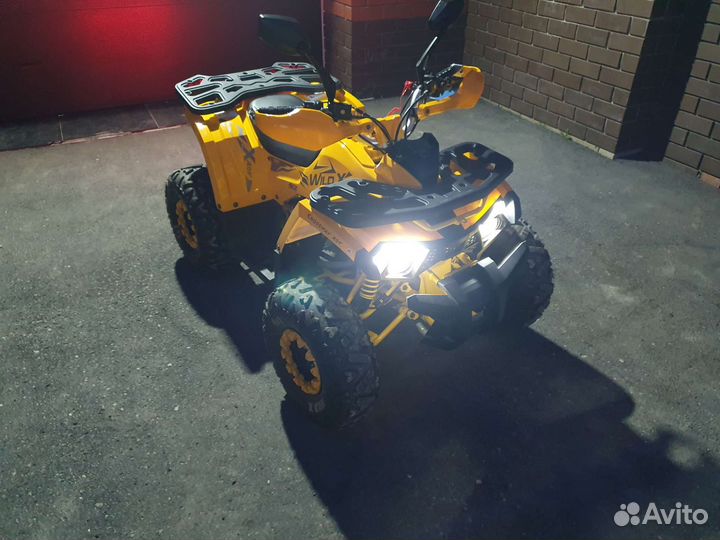 Квадроцикл 125 Wild x