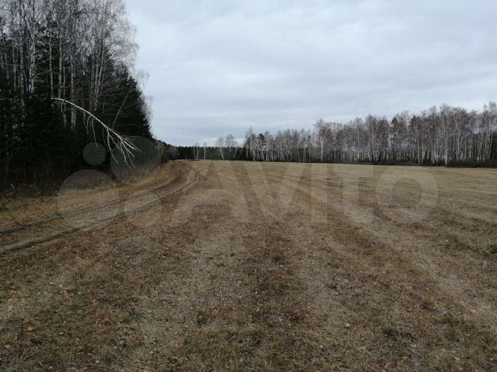 Участок 3,18 га (СНТ, ДНП)