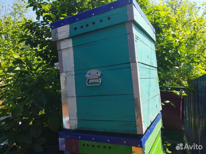 Продаю улья