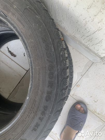 Nokian Tyres Hakka Sipe WR 205/60 R16