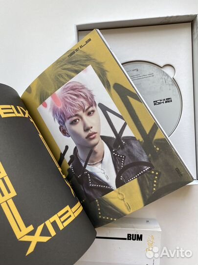 Альбом Stray kids