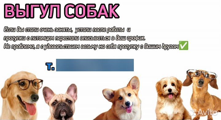 Выгуливать собак