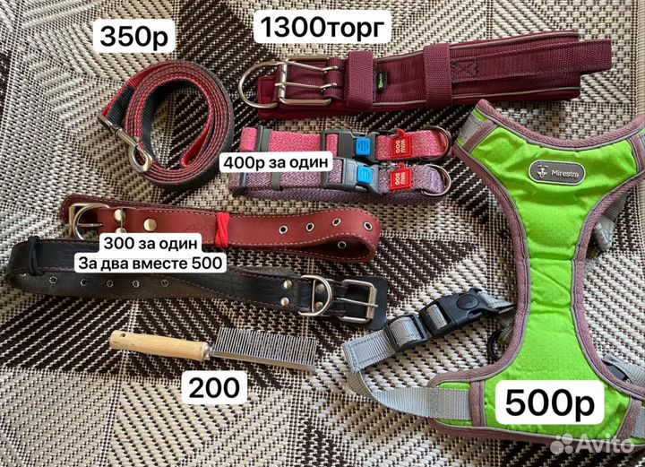 Амуниция для собак ошейник