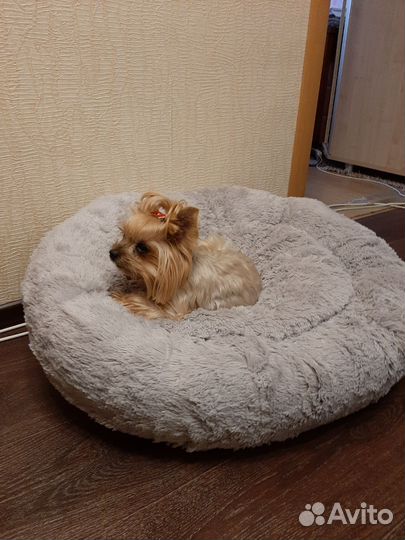 Лежанка для животных