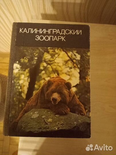 Калининградский зоопарк 1984г