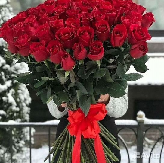 Высокие розы Гигантские розы 110