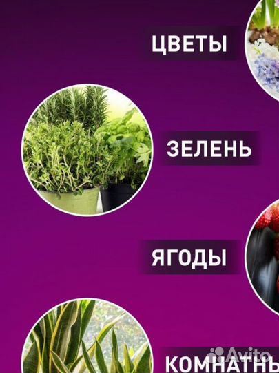 Светильник для растений