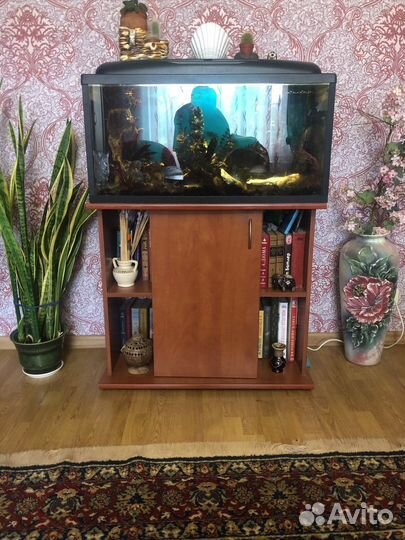 Аквариум с тумбой 200 литров