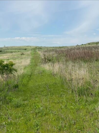 Участок 54 га (СНТ, ДНП)