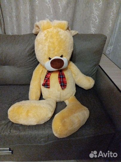Плюшевый медведь