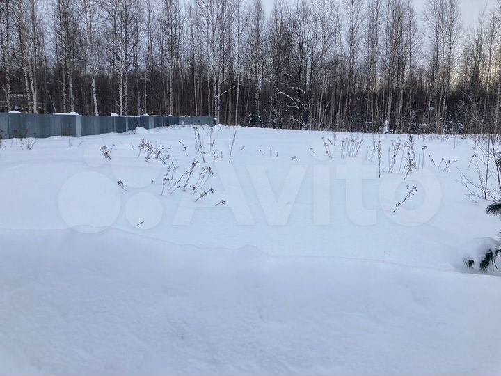 Участок 12 сот. (СНТ, ДНП)