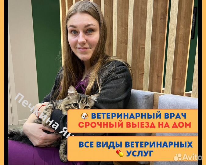Услуги Врача ветеринара, Вызов на дом