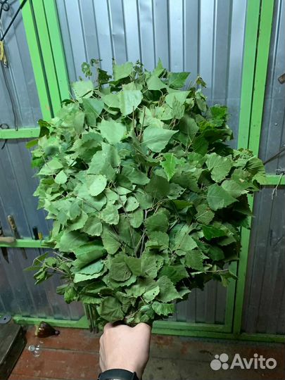 Веники банные