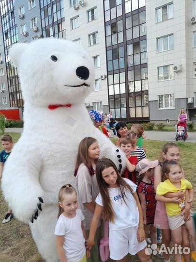 Белый мишка поздравление