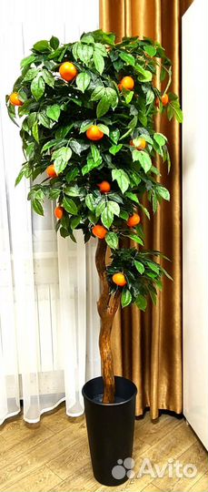 Декоративное дерево Мандарин 150-160 см