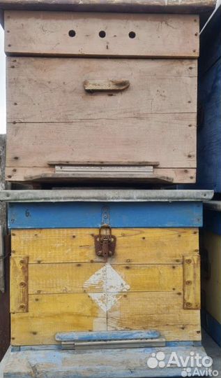 Ульи для пчел