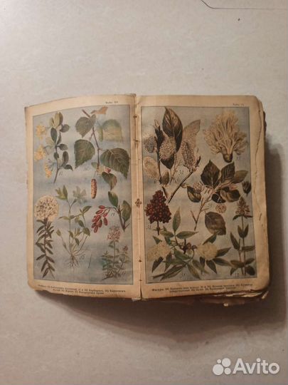 Старинная книга 