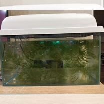 Аквариум бу с рыбками