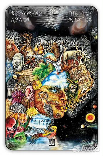 Консультации по Таро Симболон и мак