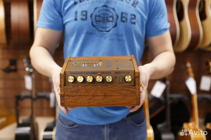 Комбоусилитель гитарный (Комплект)