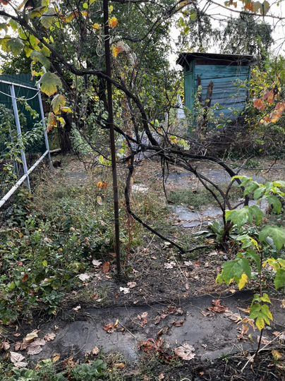 Дом 50 м² на участке 4 сот.