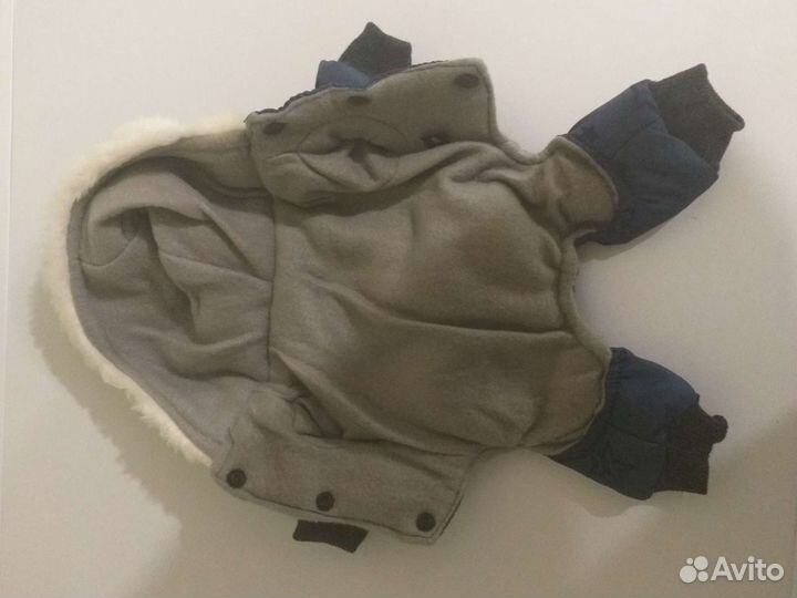 Комбинезон для маленькой собаки