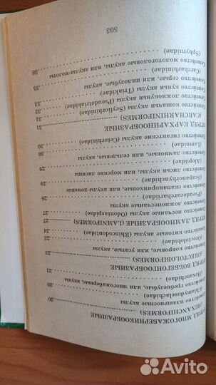 Рыбы и земноводные