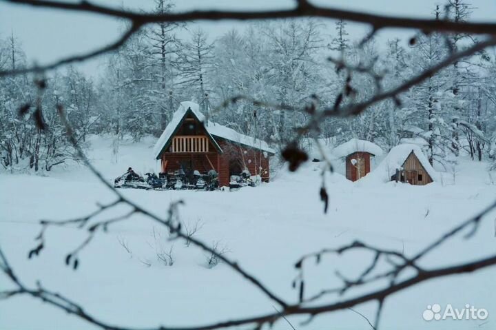 Зимняя сказка по территории Кроноцкого заповедника