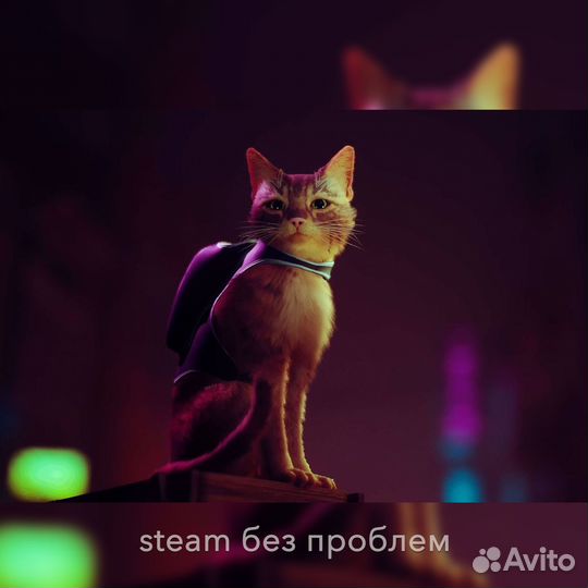 Stray (Steam)