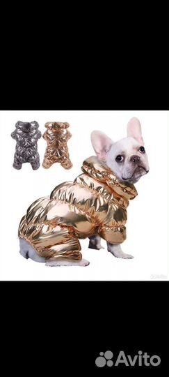 Новый зимний комбинезон для собак, золото, L, XL