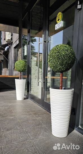 Искусственный самшит