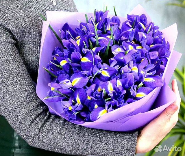 Ирисы букет цветок