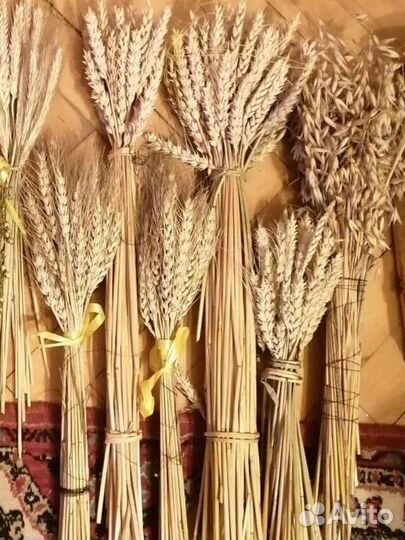 Букет сухоцветов (в ассортименте)