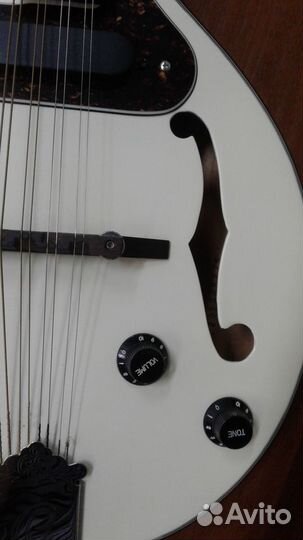 Мандолина электрическая Ortega rmae20WH