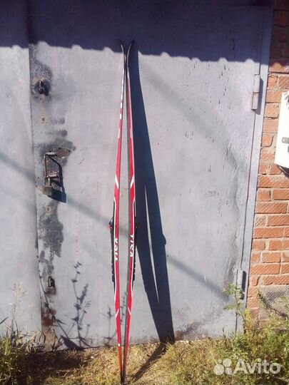 Беговые лыжи