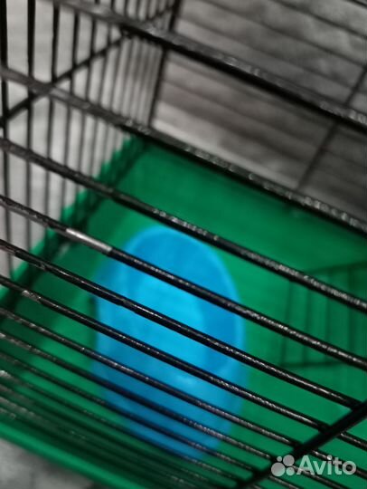 Клетка для грызунов