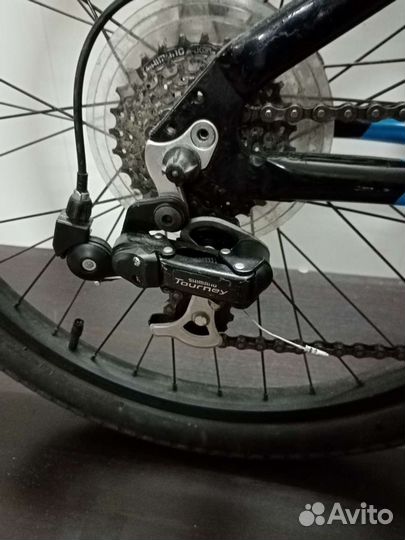 Mongoose Fireball 24