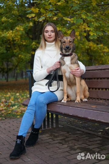 Кинолог +выгул собак